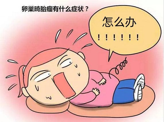 640.webp_副本 640.webp_副本