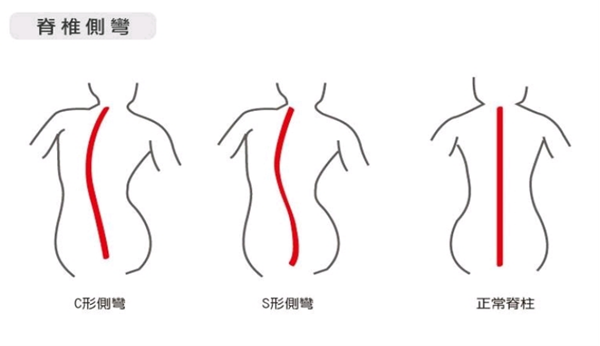 圖片1 圖片1
