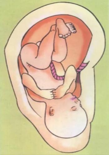 640 (3)_副本 640 (3)_副本