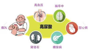640 (20)_副本 640 (20)_副本