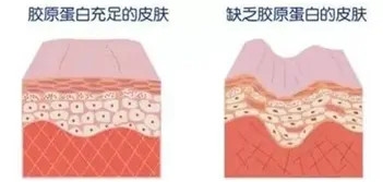 640 (5)_副本 640 (5)_副本