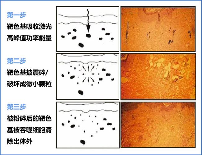 640 (3)_副本 640 (3)_副本