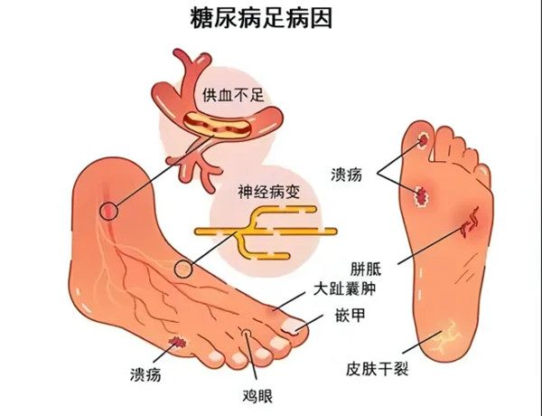 640 (2)_副本 640 (2)_副本