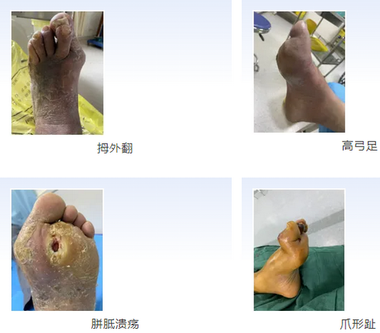 QQ截圖20241115082024_副本
