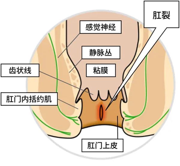 640_副本 640_副本