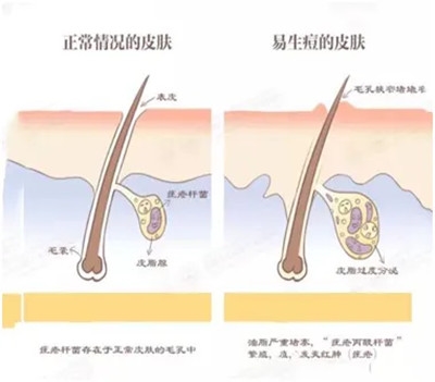 640 (2)_副本 640 (2)_副本