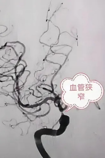 640 (5)_副本 640 (5)_副本