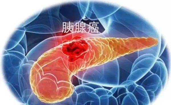 640_副本 640_副本