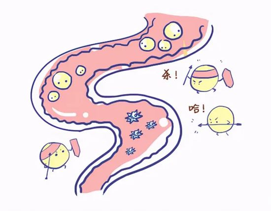 640 (3)_副本 640 (3)_副本