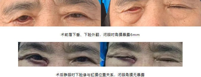 QQ截圖20250220083644 QQ截圖20250220083644