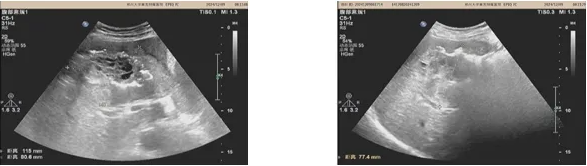 QQ截圖20250314081900 QQ截圖20250314081900