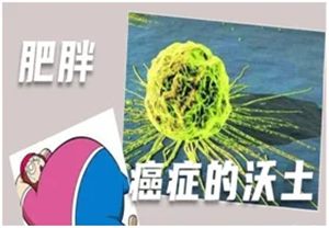640 (5)_副本 640 (5)_副本