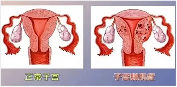640 (2)_副本 640 (2)_副本