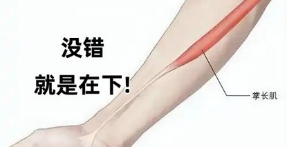小肌腱變身“面部提拉師”？